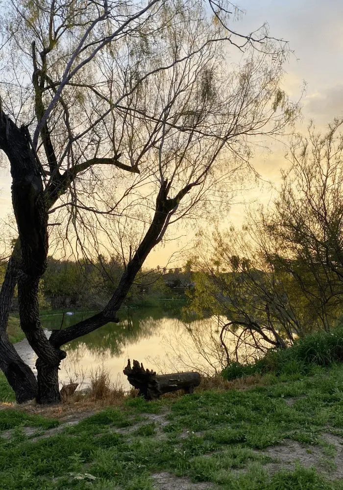 Pond in Mission Texas
